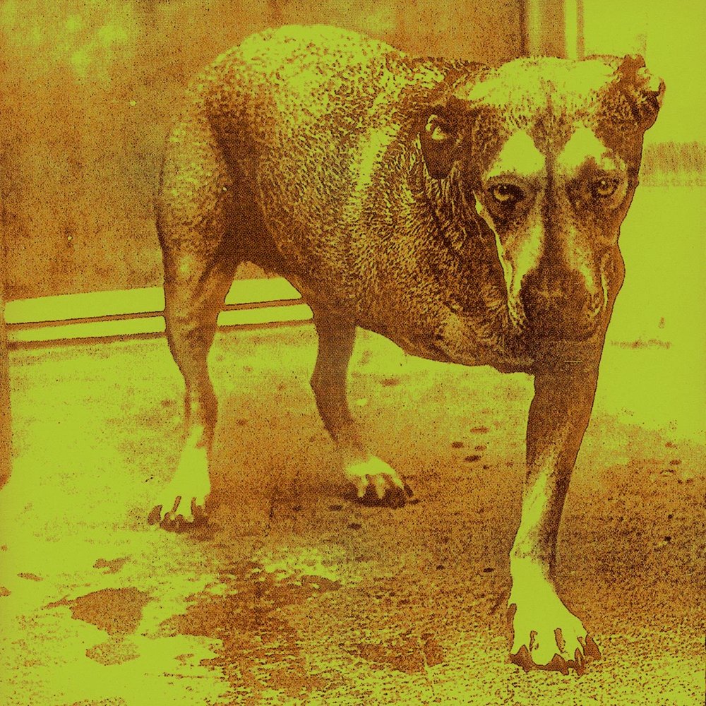 Album cover for Alice in Chains by Alice in Chains