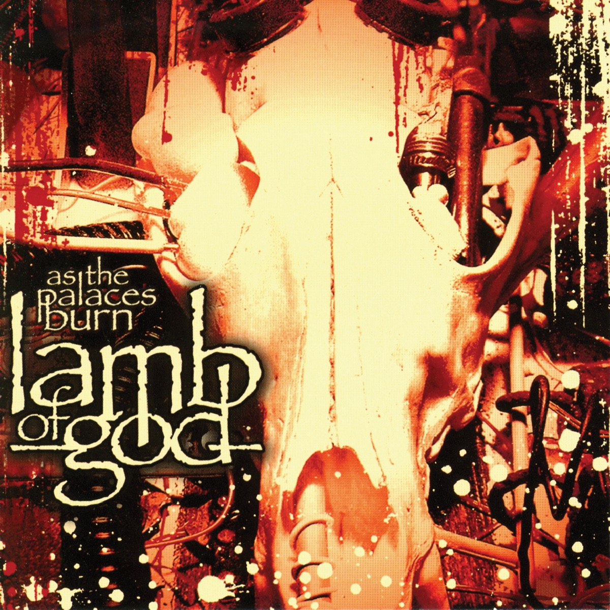 Album cover for As the Palaces Burn by Lamb of God