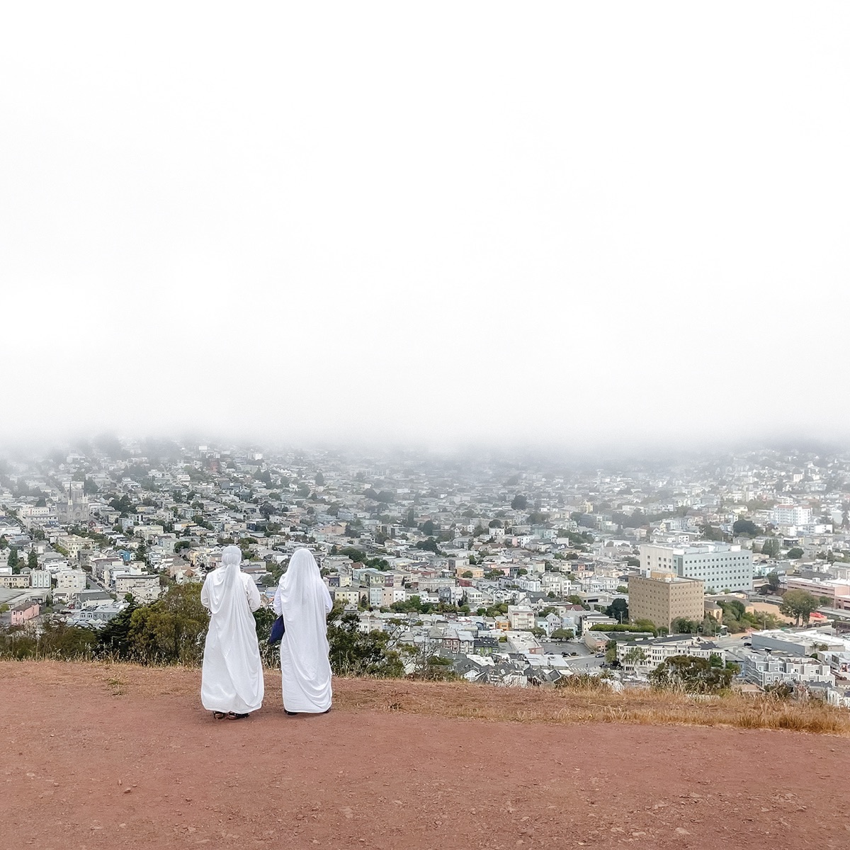 Album cover for Asphalt Meadows by Death Cab for Cutie