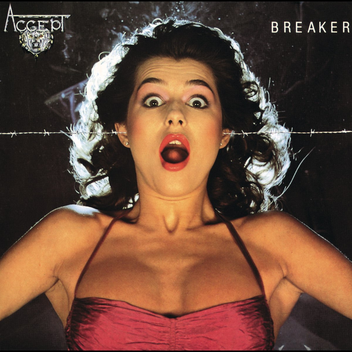 Album cover for Breaker by Accept