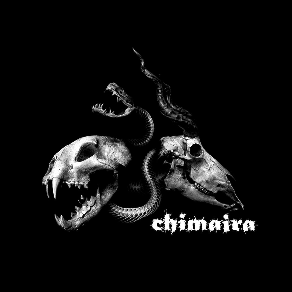 Album cover for Chimaira by Chimaira