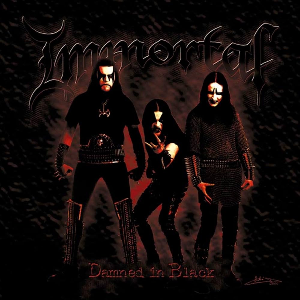 Album cover for Damned in Black by Immortal