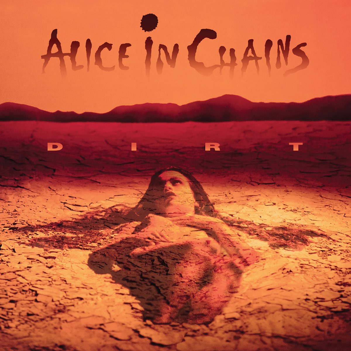 Album cover for Dirt by Alice in Chains