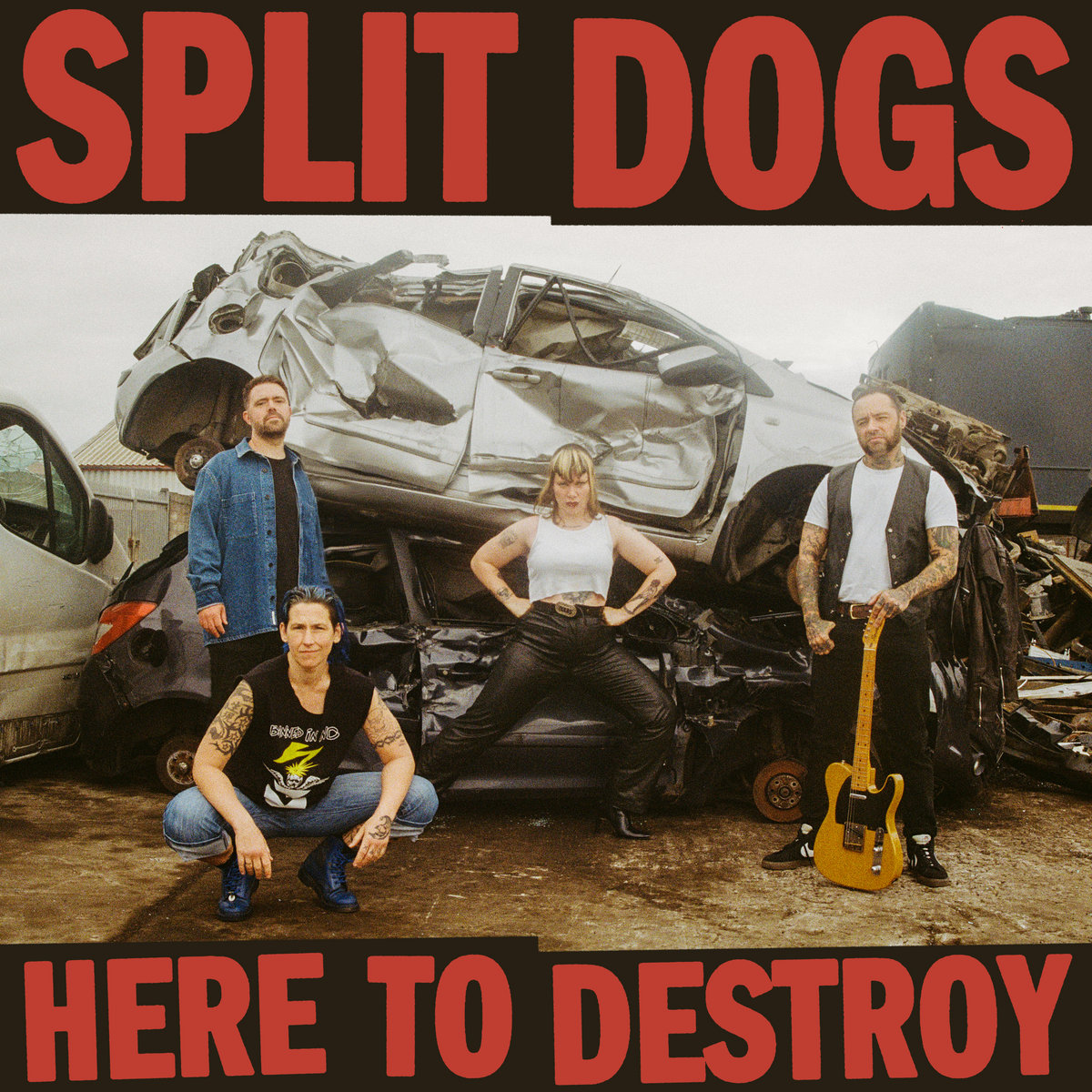 Album cover for Here to Destroy by Split Dogs