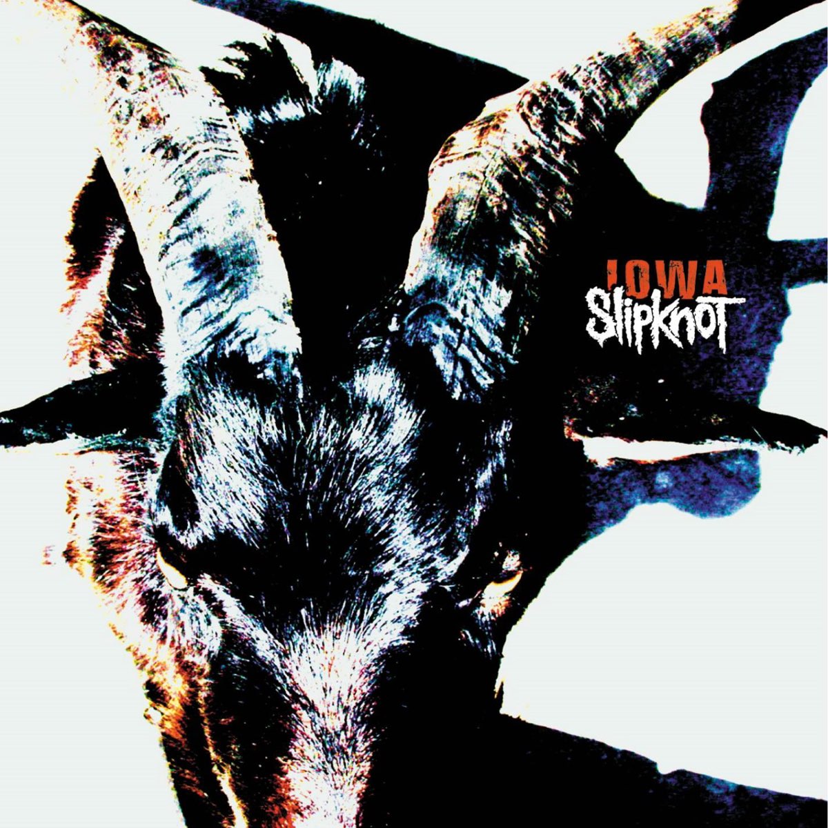 Album cover for Iowa by Slipknot