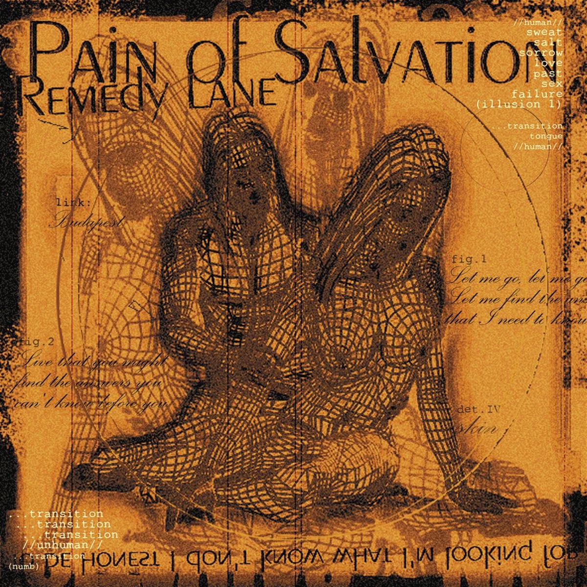 Album cover for Remedy Lane by Pain of Salvation