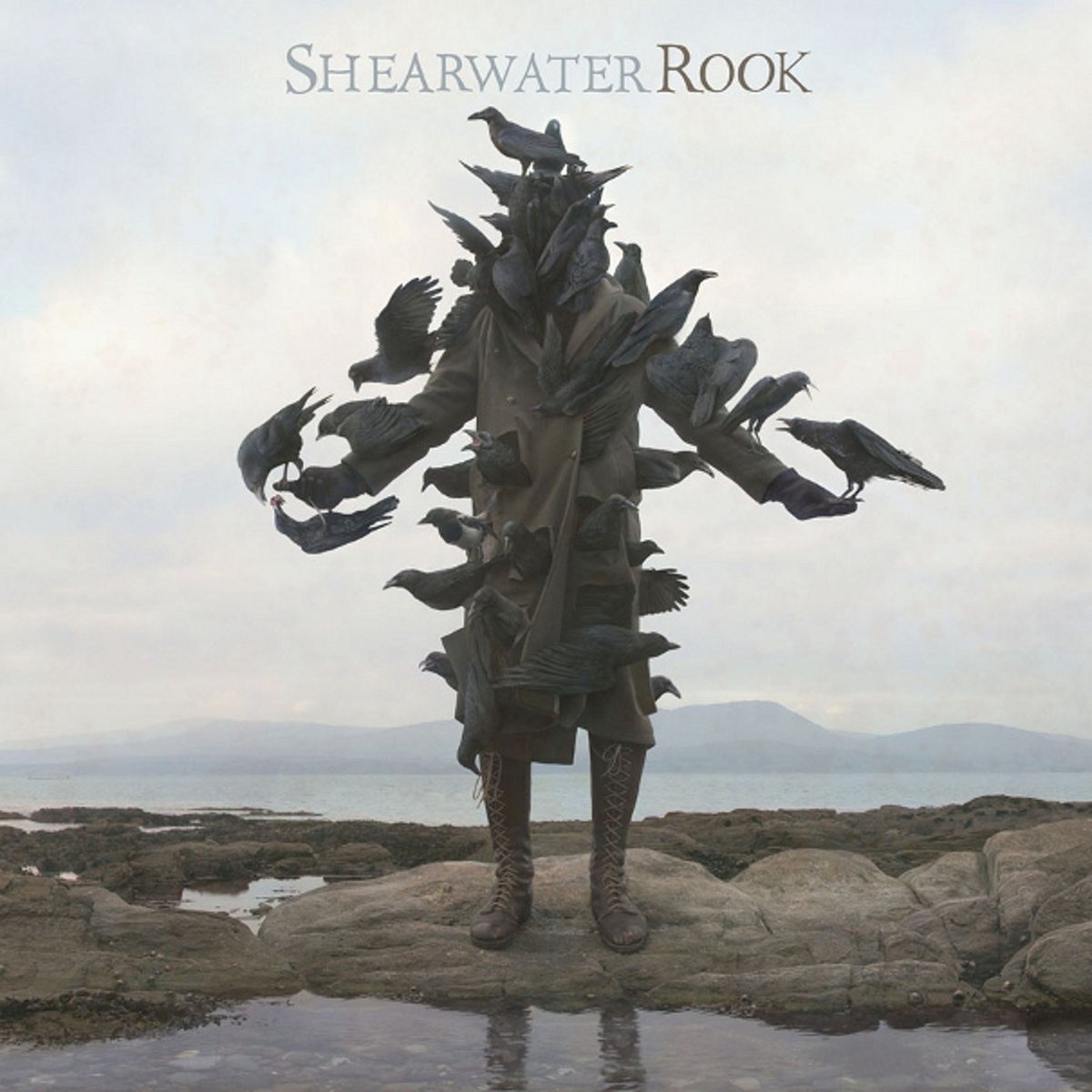 Album cover for Rook by Shearwater