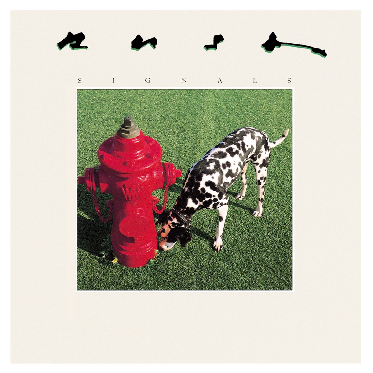 Album cover for Signals by Rush