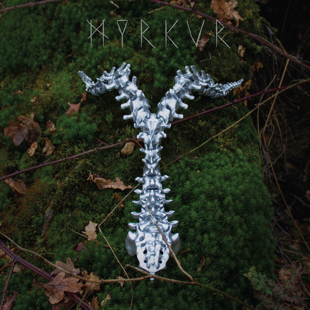 Album cover for Spine by Myrkur
