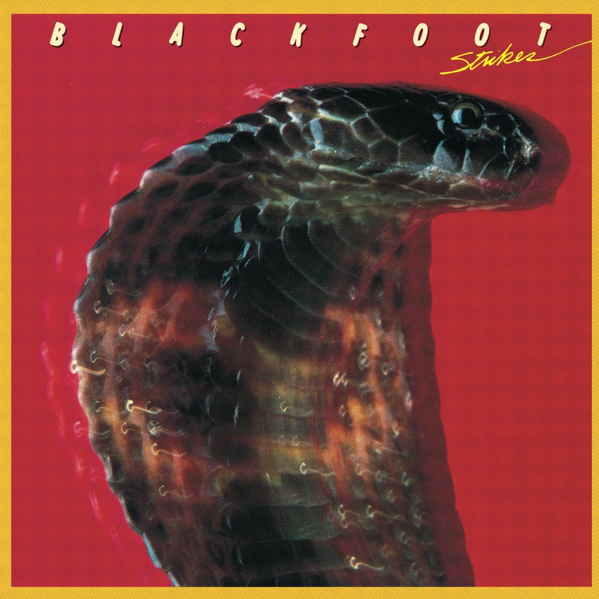 Album cover for Strikes by Blackfoot