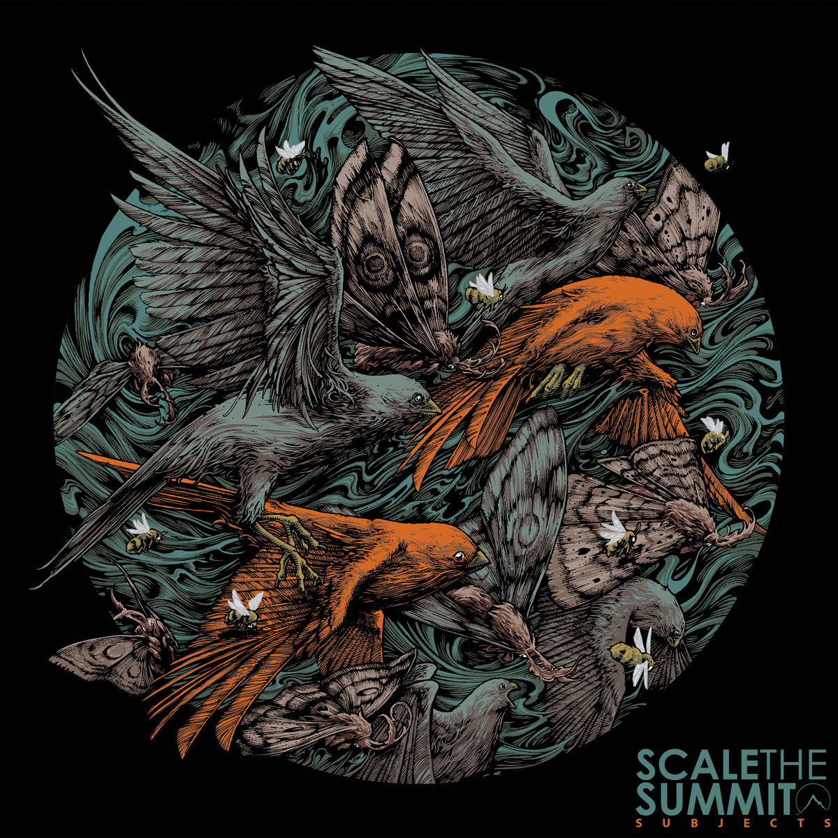 Album cover for Subjects by Scale the Summit