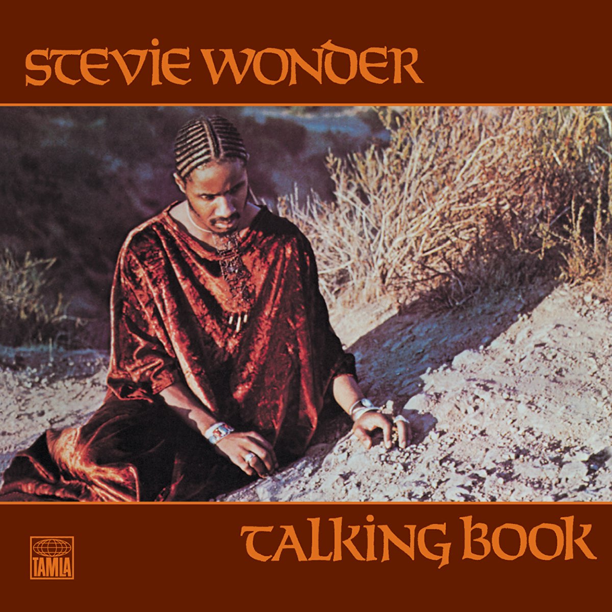 Album cover for Talking Book by Stevie Wonder