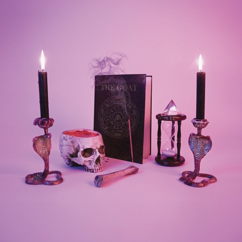 Album cover for The Goat by Puppy