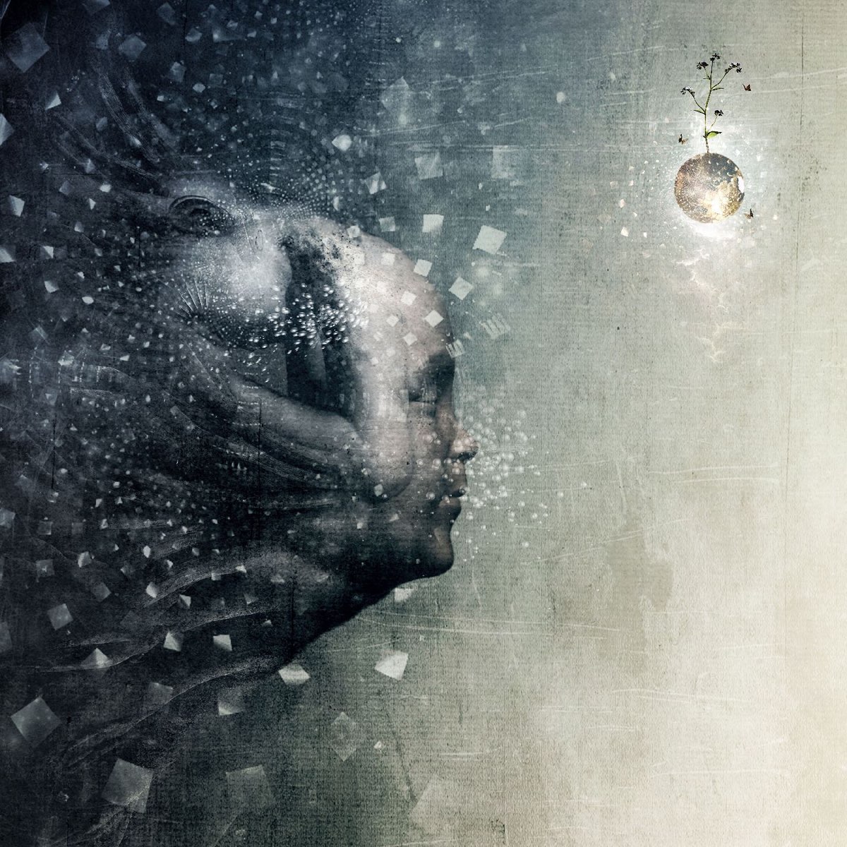 Album cover for This Is the Warning by Dead Letter Circus