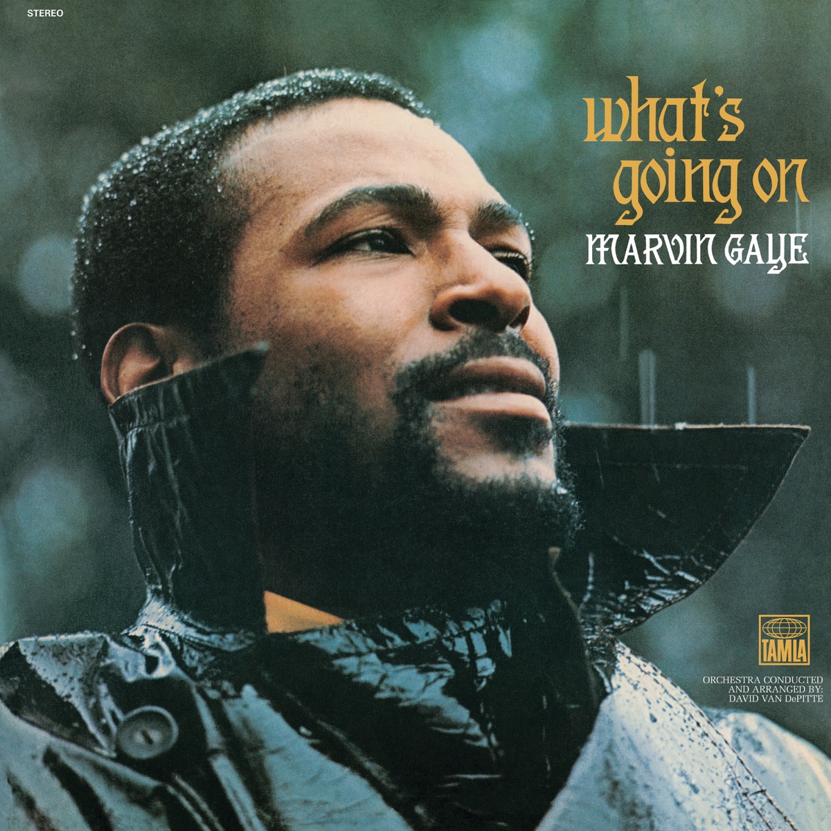 Album cover for What's Going on by Marvin Gaye